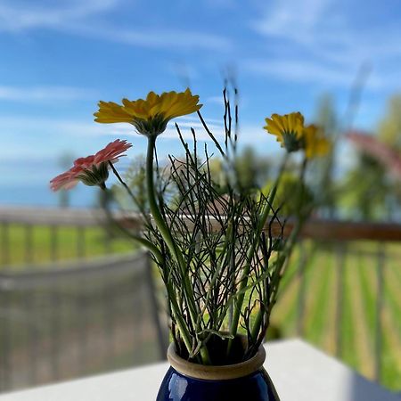 Appartementhotel Roehrenbach Имменштад-ам-Бодензее Экстерьер фото
