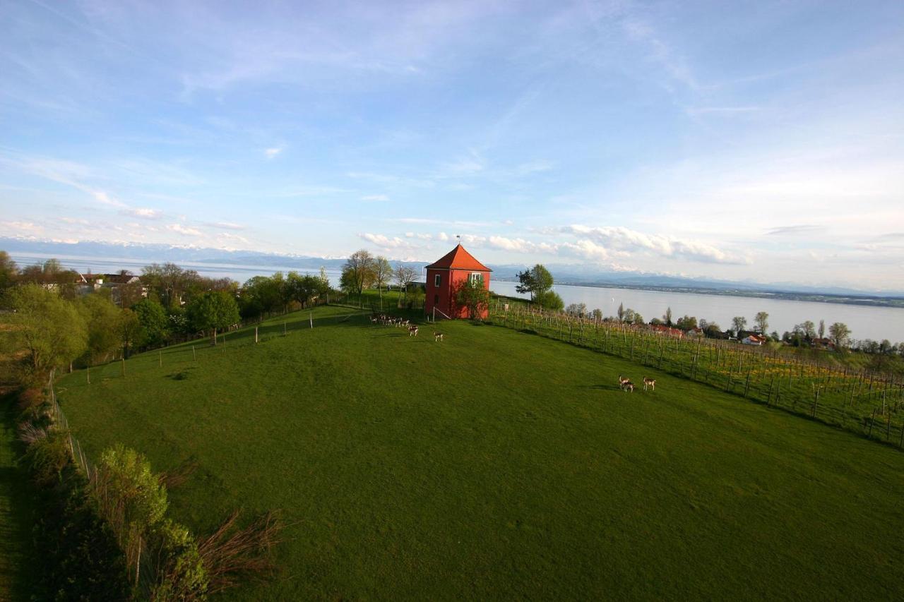 Appartementhotel Roehrenbach Имменштад-ам-Бодензее Экстерьер фото