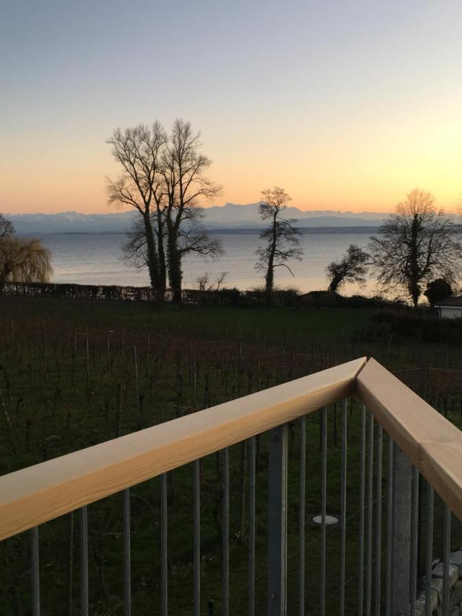 Appartementhotel Roehrenbach Имменштад-ам-Бодензее Экстерьер фото