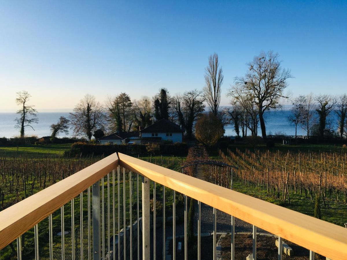 Appartementhotel Roehrenbach Имменштад-ам-Бодензее Экстерьер фото