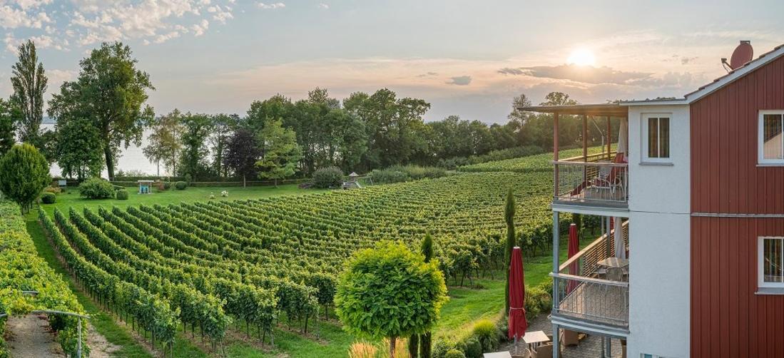 Appartementhotel Roehrenbach Имменштад-ам-Бодензее Экстерьер фото