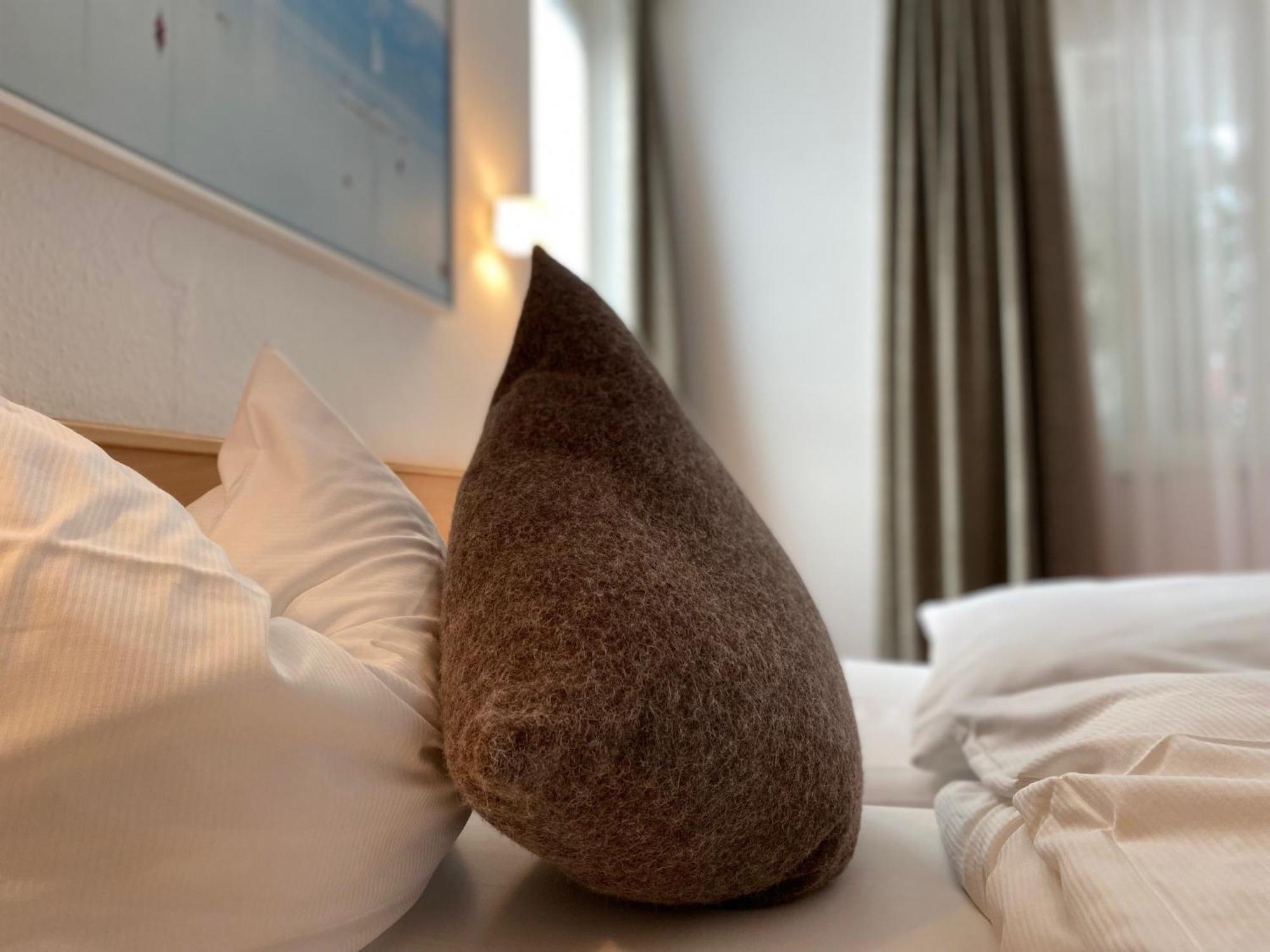 Appartementhotel Roehrenbach Имменштад-ам-Бодензее Экстерьер фото